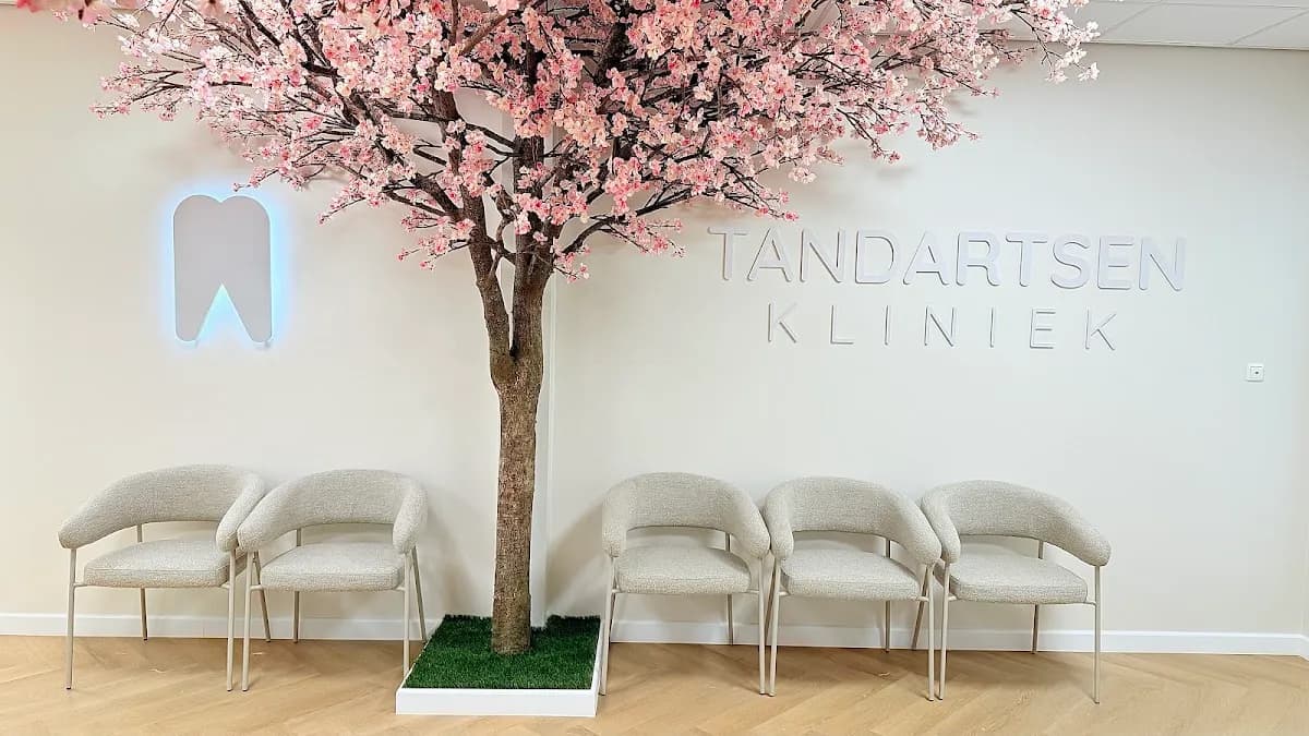 De Tandartsenkliniek RijswijkBuiten — foto uit de Google-vermelding van de praktijk