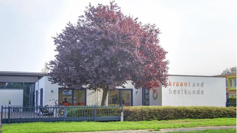 Kraan Tandheelkunde Brédyk — foto uit de Google-vermelding van de praktijk