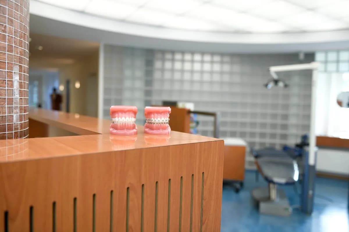 Ortho Lisse — foto uit de Google-vermelding van de praktijk