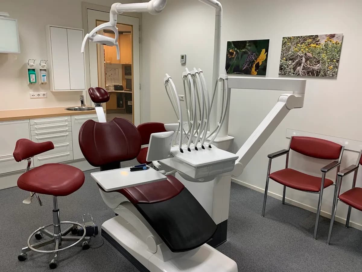Tandarts Harp🦷 — foto uit de Google-vermelding van de praktijk