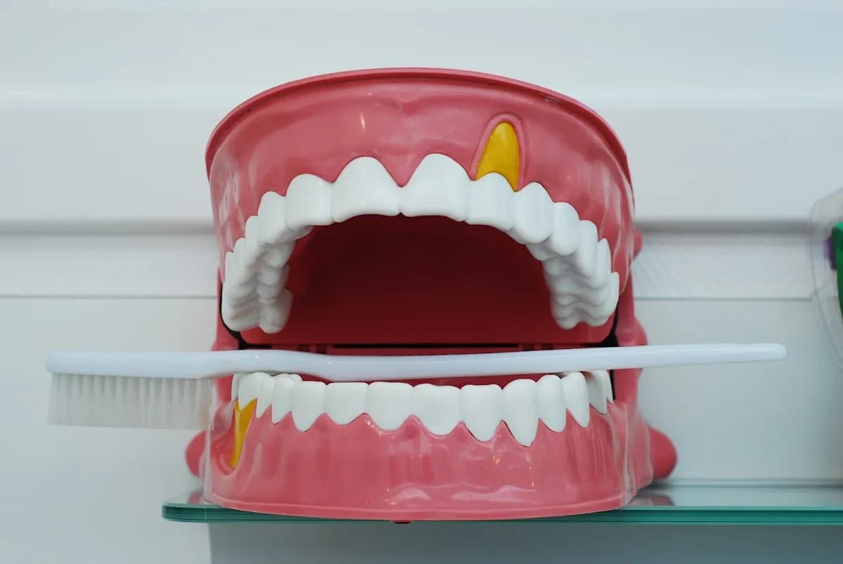 Tandartspraktijk Spaargaren B.V. 🦷 — foto uit de Google-vermelding van de praktijk
