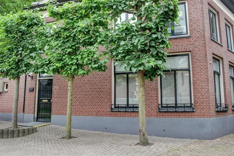 Tandartspraktijk Tiel — foto uit de Google-vermelding van de praktijk