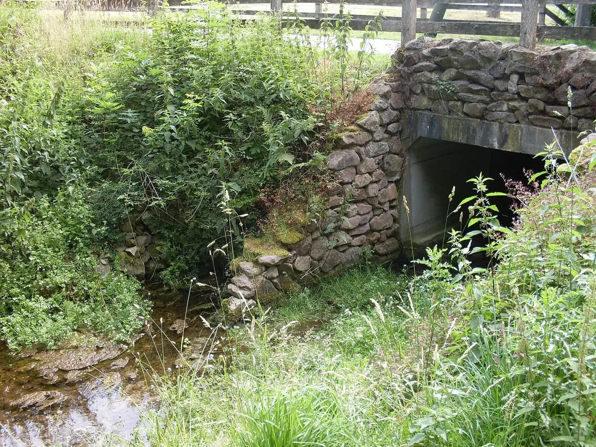 Hardenberg: een meanderende rivier door open Overijssels landschap