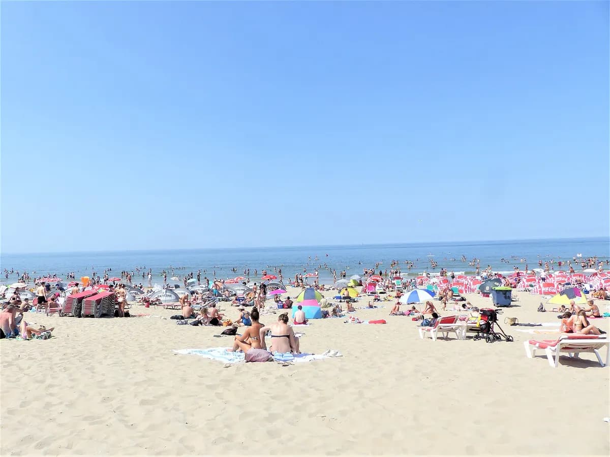Zandvoort: een racecircuit tussen de duinen aan de kust
