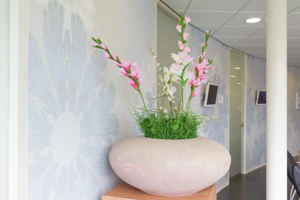 Dental Clinics Beesd — foto uit de Google-vermelding van de praktijk