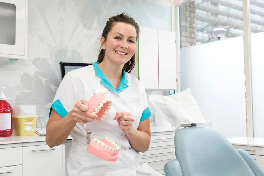 Dental Clinics Zeist — foto uit de Google-vermelding van de praktijk