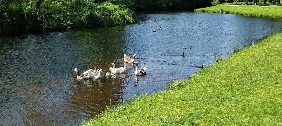 Mondzorg Hoogeveen — foto uit de Google-vermelding van de praktijk