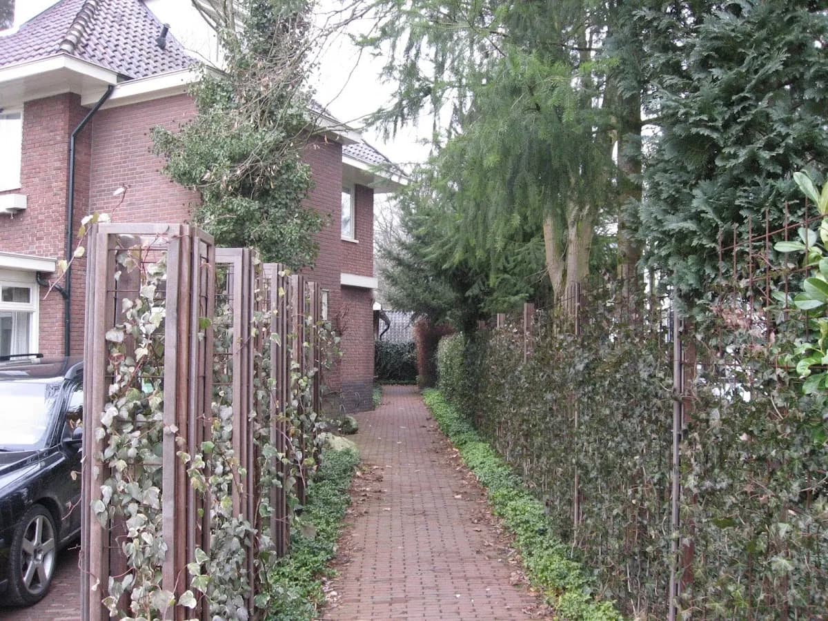 Tandarts Willem Bosma bij De Mondhoek — foto uit de Google-vermelding van de praktijk