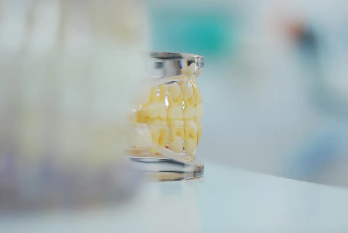 Tandartspraktijk Spaargaren B.V. 🦷 — foto uit de Google-vermelding van de praktijk